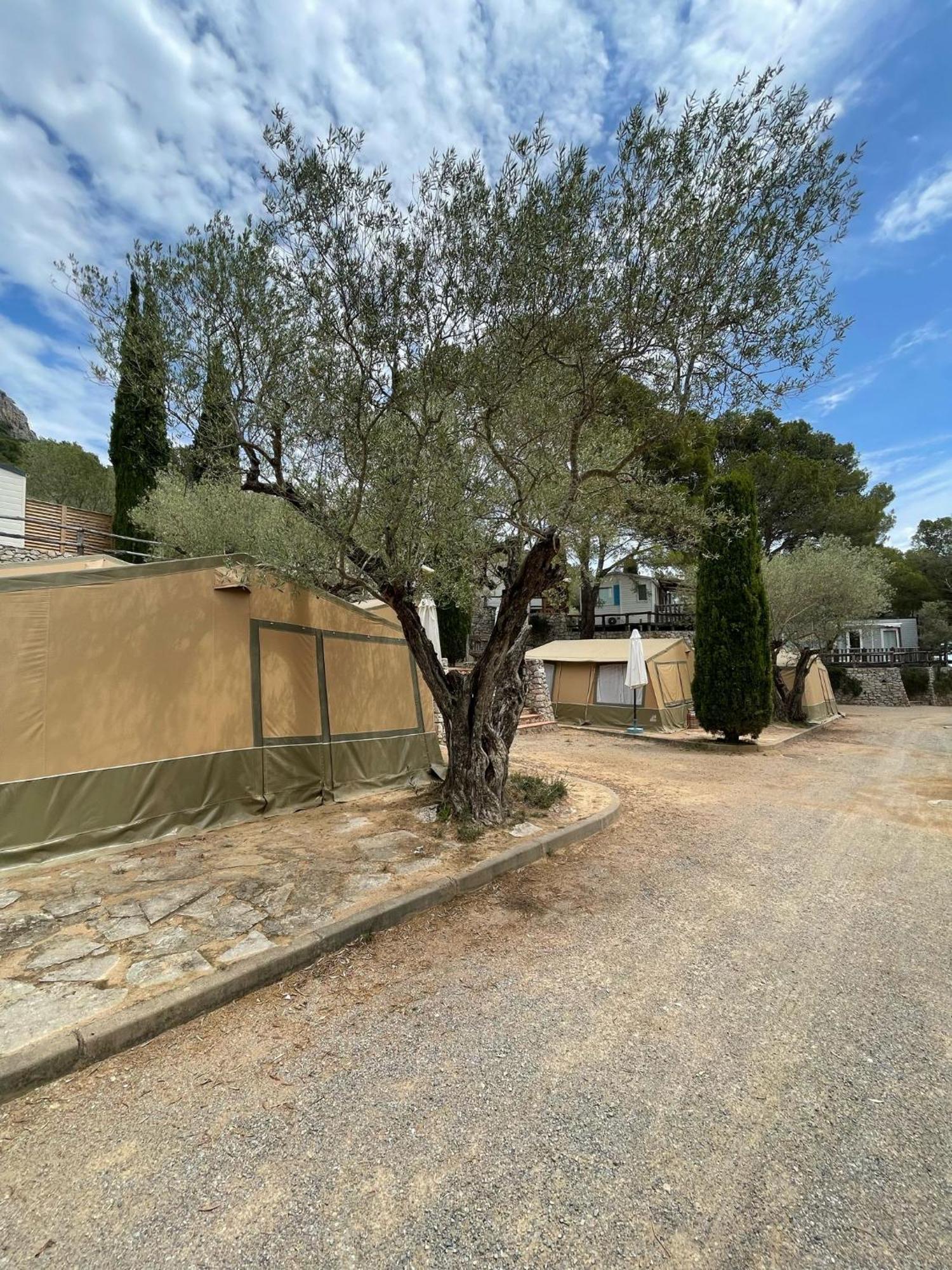 Camping Castell Montgri **** أولاستارتيت المظهر الخارجي الصورة